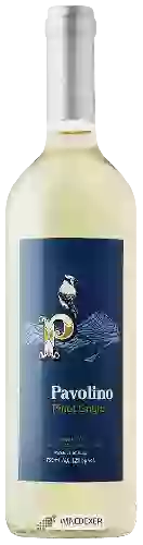 Domaine Pavolino - Pinot Grigio