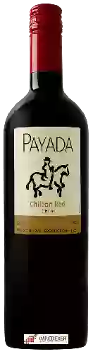 Domaine Payada - Chilean Red