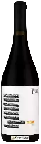 Domaine Pedro Parra y Familia - Monk