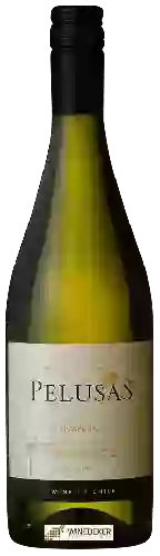 Domaine Pelusas - Chardonnay