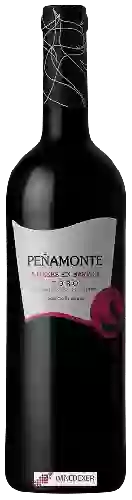 Domaine Peñamonte - 5 Meses en Barrica