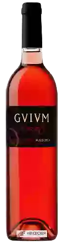 Domaine Pere Seda - GVIVM Rosat