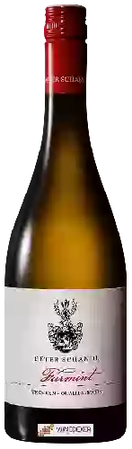 Domaine Peter Schandl - Furmint Trocken