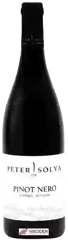 Domaine Peter Sölva - I Vigneti Pinot Nero