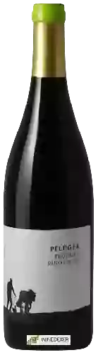 Domaine Weingut Pflüger - Fronhof Pinot Noir