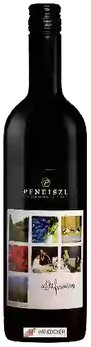 Domaine Pfneiszl - Kékfrankos Újra Együtt