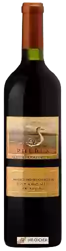 Domaine Phebus - Cabernet Sauvignon - Merlot