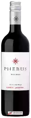 Domaine Phebus - Malbec