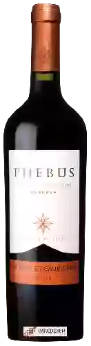 Domaine Phebus - Reserva Cabernet Sauvignon