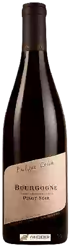 Domaine Philippe Colin - Bourgogne Pinot Noir