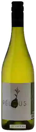 Domaine Philippe Nusswitz - Pélous Blanc