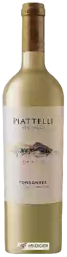 Domaine Piattelli - Reserve Torrontés