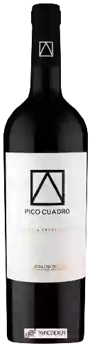 Domaine Pico Cuadro - Vendimia Seleccionada