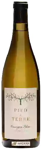 Domaine Pied a Terre - Sauvignon Blanc