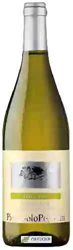 Domaine Pierpaolo Pecorari - Friulano