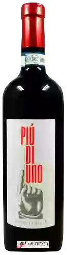 Domaine Pinbologna - Più di Uno