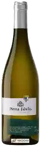 Domaine Pinna Fidelis - Rueda Verdejo