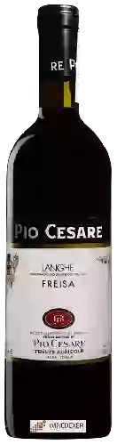 Domaine Pio Cesare - Freisa