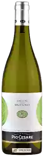 Domaine Pio Cesare - Sauvignon