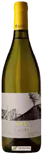 Domaine Planeta - Etna Bianco