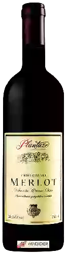 Domaine Plantaže - Crnogorski Merlot