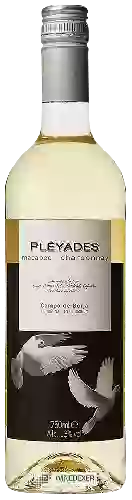 Domaine Pléyades - Macabeo - Chardonnay