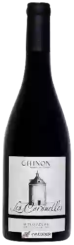 Domaine M Plouzeau - Château de la Bonneliere les Cornuelles Chinon