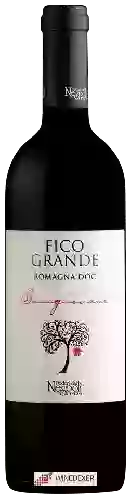 Domaine Poderi dal Nespoli - Fico Grande Romagna Sangiovese