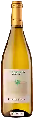 Domaine Poggio Morino - Vermentino