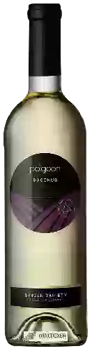 Domaine Polgoon - Single Estate Bacchus