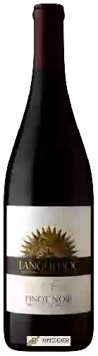 Domaine Pont du Nord - Languedoc Pinot Noir