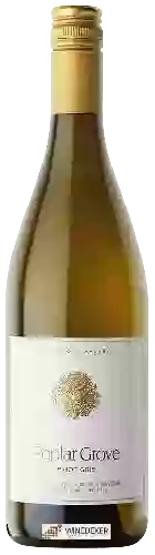 Domaine Poplar Grove - Pinot Gris