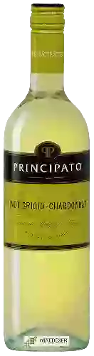 Domaine Principato - Pinot Grigio - Chardonnay