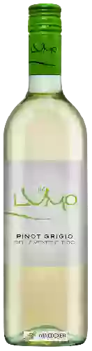 Domaine Colterenzio (Schreckbichl) - Lumo Pinot Grigio