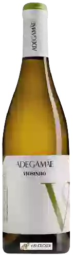 Domaine AdegaMãe - Viosinho