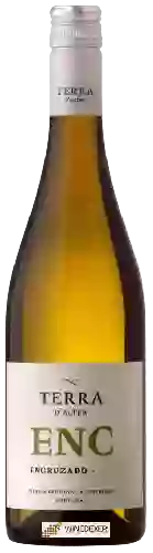 Domaine Terra d'Alter - Encruzado