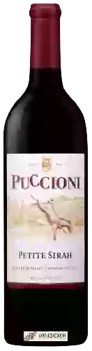 Domaine Puccioni - Petite Sirah