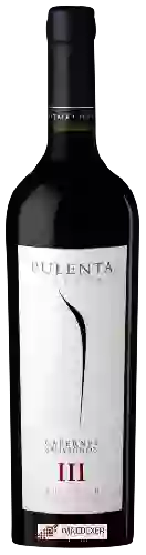 Domaine Pulenta Estate - Cabernet Sauvignon (III)