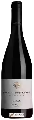 Domaine Quinta da Fonte Souto - Tinto