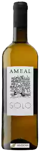 Domaine Quinta do Ameal - Solo