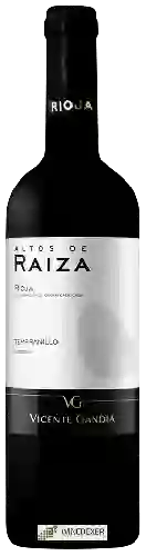 Domaine Raiza - Altos de Raiza