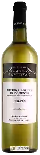 Domaine Ramoino - Pigato Riviera Ligure di Ponente