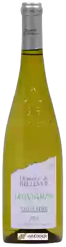 Domaine Raphael Midoir - Domaine de Bellevue Sauvignon Touraine