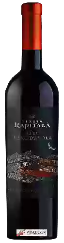 Domaine Tenuta Rapitalà - Alto Nero d'Avola