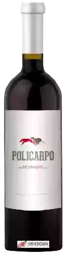 Domaine Raul Calvo Beltran - Policarpo