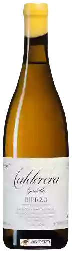 Domaine Raúl Pérez - Castro Ventosa Calderera Godello