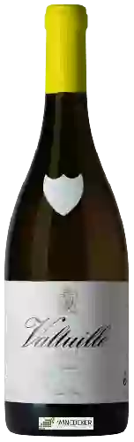 Domaine Raúl Pérez - Valtuille Godello