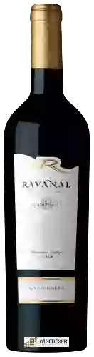 Domaine Ravanal - Gran Reserva Carmenère