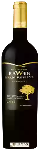 Domaine Ravanal - Rawen Gran Reserva Carmenère