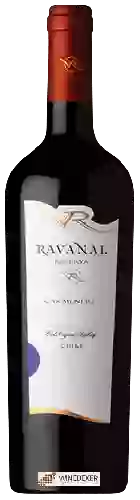 Domaine Ravanal - Reserva Carmenère